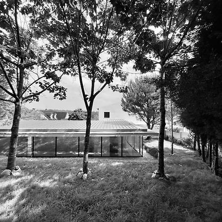 Alquerubim Casa Do Carvalhal - Quinta Do Soldado 빌라 외부 사진