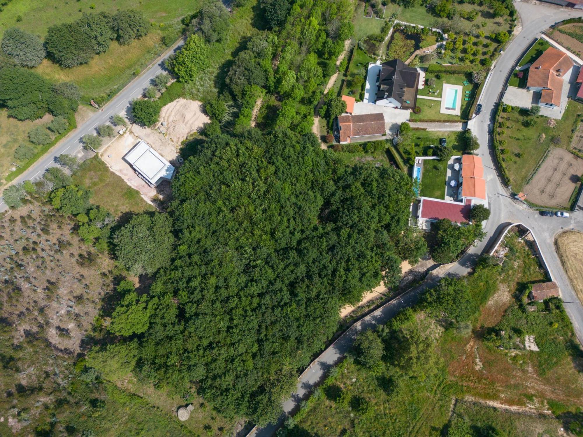 Alquerubim Casa Do Carvalhal - Quinta Do Soldado 빌라 외부 사진